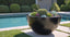 A large black fiberglass bowl planter filled with various plants, situated on a lawn near a pool.