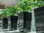 Modern Tapered Tall Office Planters