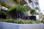 When Aluminum Wasn't the Answer: 22 Custom Planters for a Cambridge Multifamily