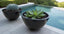 Large Fiberglass Bowl Planter – 31.5" Wide