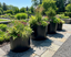 Round  Fiberglass Planters