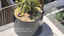 Black round planter in a Multifamily project.