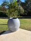 Large Ellipse Cemposite Planter