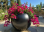 Spherical black planter with pink flowers in a garden setting.